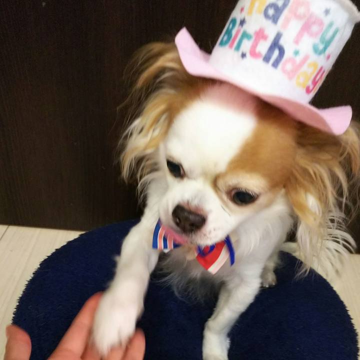 31da94dd b2b4 4bd3 9ebd 9a507438accf 1731204074496