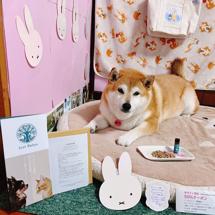 31daf45e 886c 4077 9420 0c0154e1f641 1678695411917