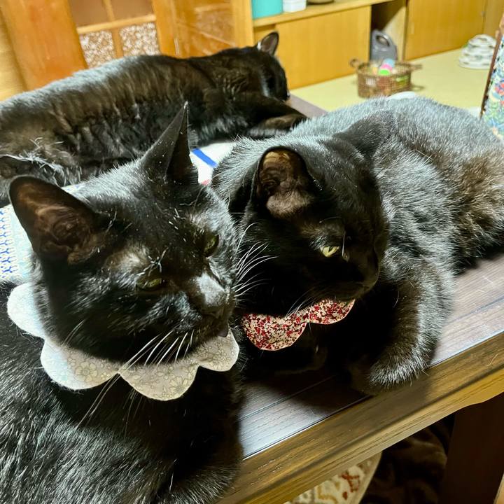 31daf772 d07f 434d 97a0 ecc926e0360b 1720270508154