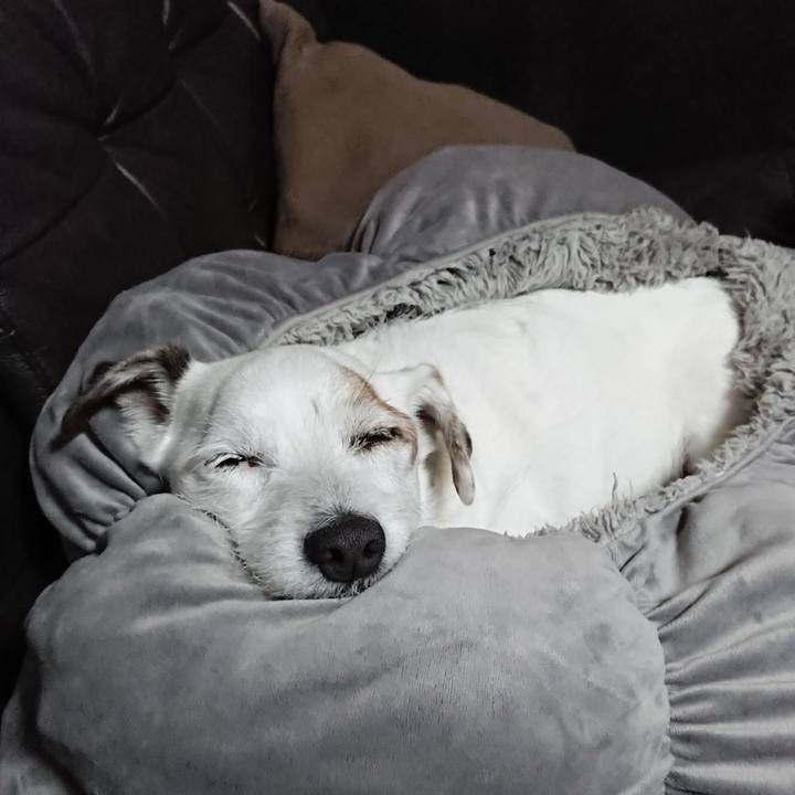 31db08ba c838 48ff 9007 09090b4a2e40 1539558402832