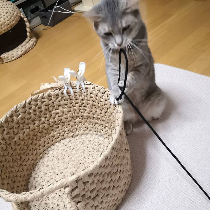 31db2f44 0871 4f66 a682 3770f2726bed 1560003216998