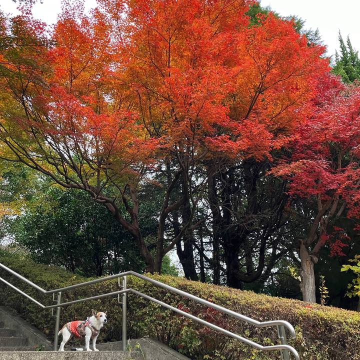 31db8504 f8a3 4a94 89ee 17ea6775caf3 1701300710537