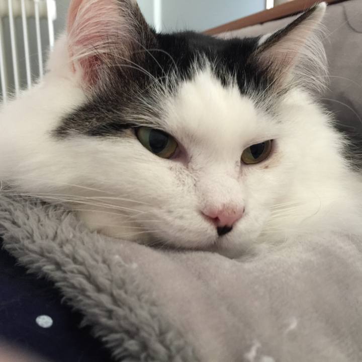 31dba161 0085 41d9 a5be 6ef1dea7d93c 1520060913863