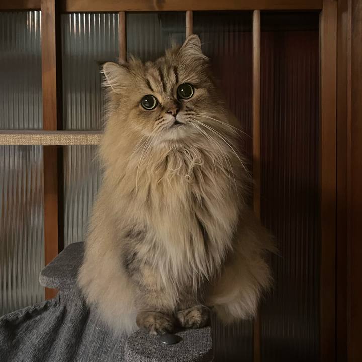 31dba333 4869 4890 b8a6 843be6ed80b3 1639704905716