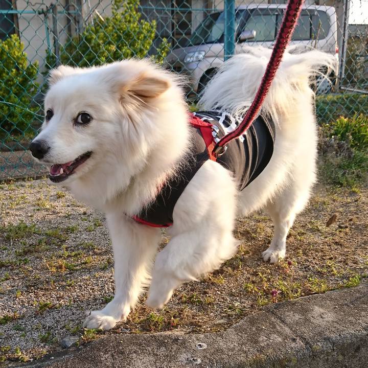 31dbb12e 360c 4d9d ad1f 6c9c876335f3 1523225177242