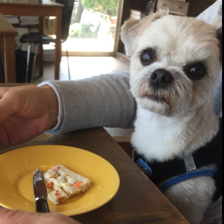 31dbb931 46d0 4338 aeea 496a76015e6e 1522480860676