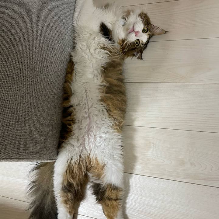 31dc2115 35fe 4ebf 8490 54ca0d50d158 1650277828408