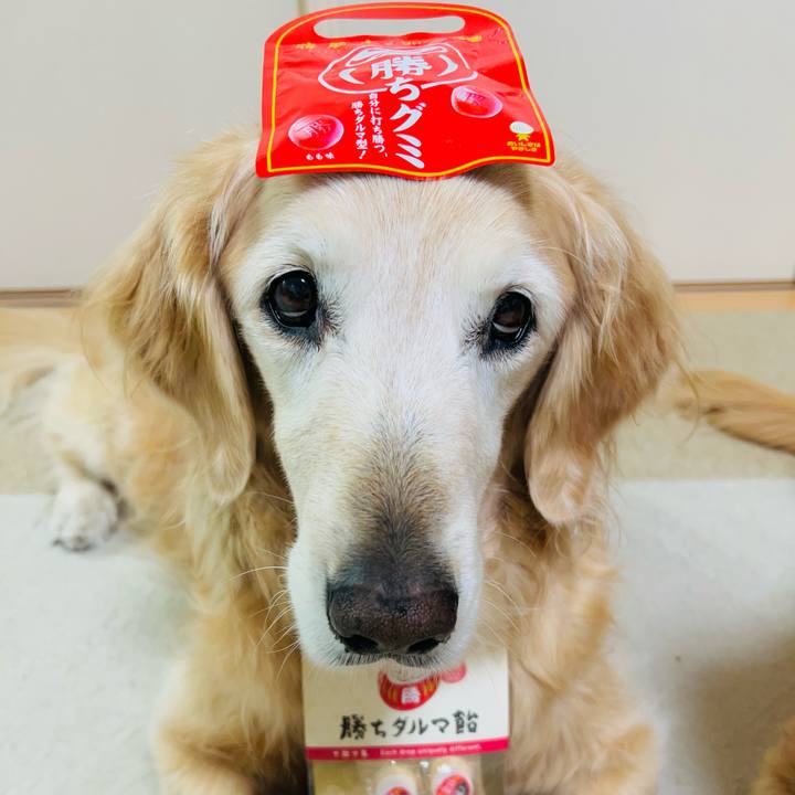 31dc393f 3214 46c5 b363 e81cc27a8c8d 1768606012835