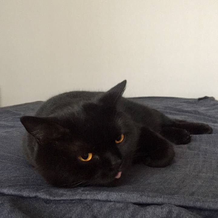 31dc4a96 6593 4ae3 8973 4fafafc26a8c 1561066713848