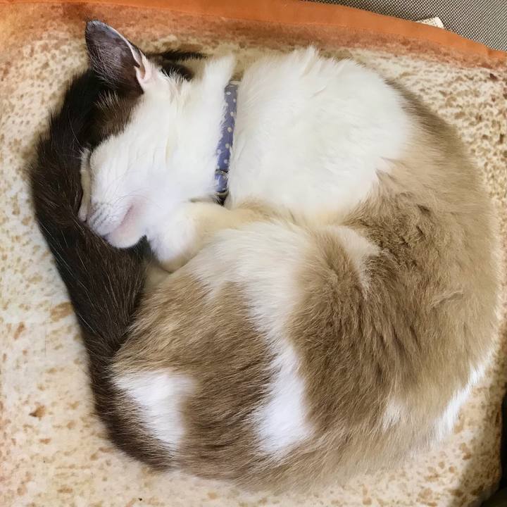 31dc747e 3c05 4d31 91bf 3377b554e774 1612001260268