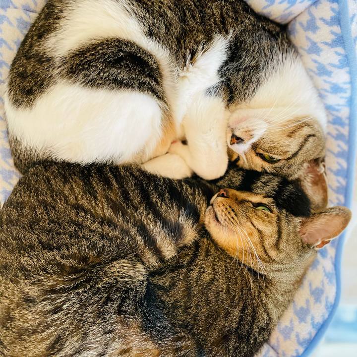 31dce6dd b420 4eaf b547 6fedcc096a94 1604454614011