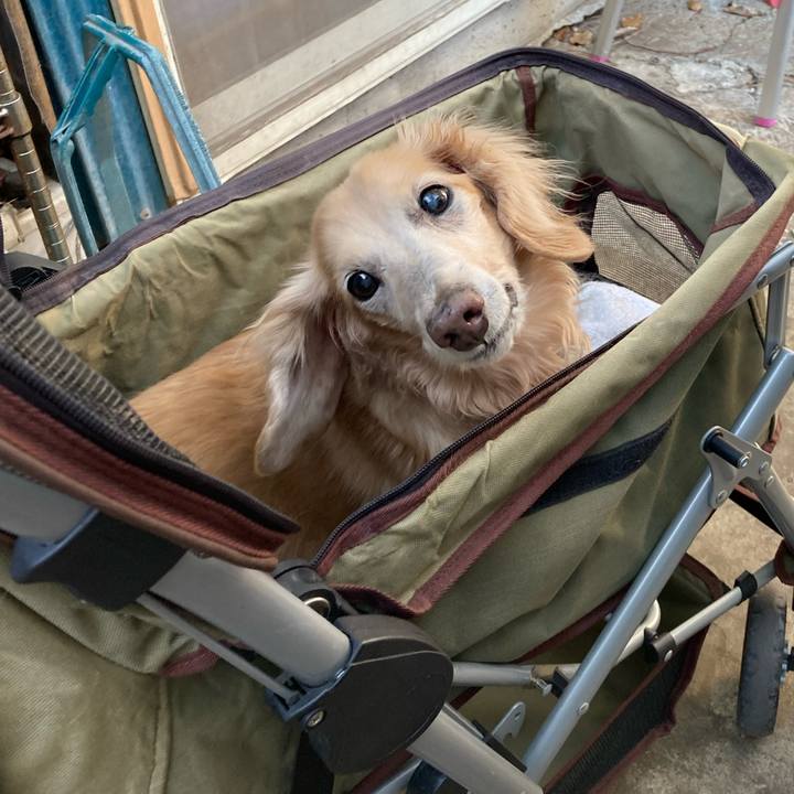 31dcede2 5669 4d50 b914 cb395be312d0 1642581414511