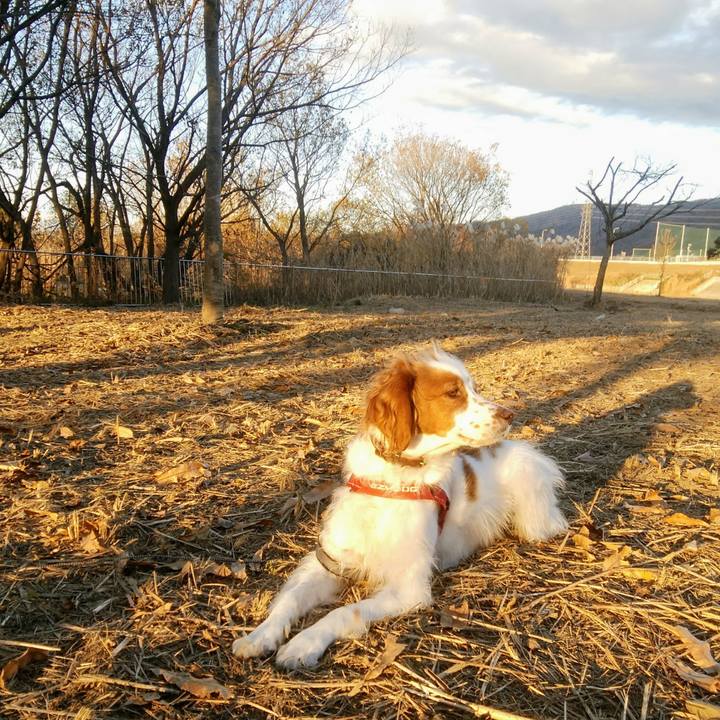 31dd0320 4080 417e aee9 6c14223d3019 1545996311452