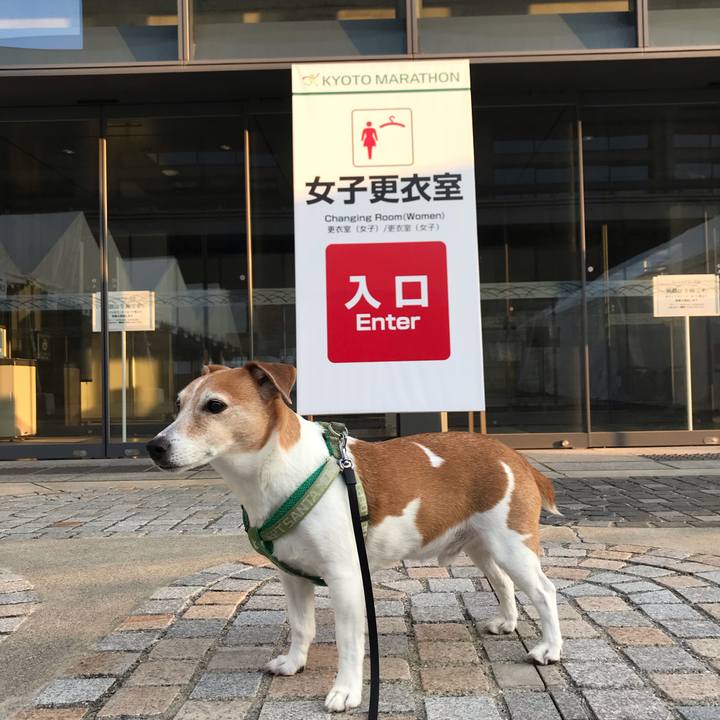 31dd1917 a7a8 478f 93db c3e61e075fb5 1550375000802