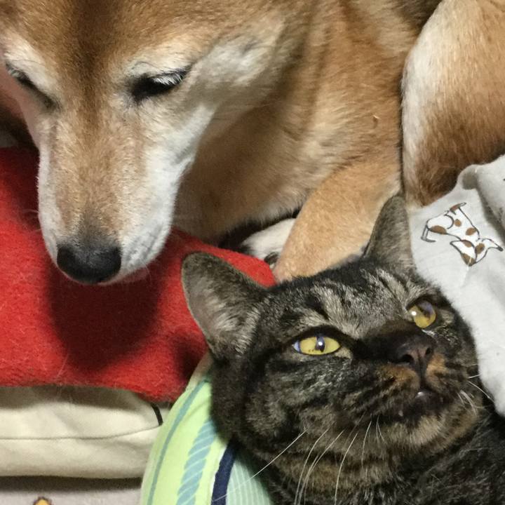 31dd23d4 f727 42f8 933e aa8240ec2ec3 1608378457682