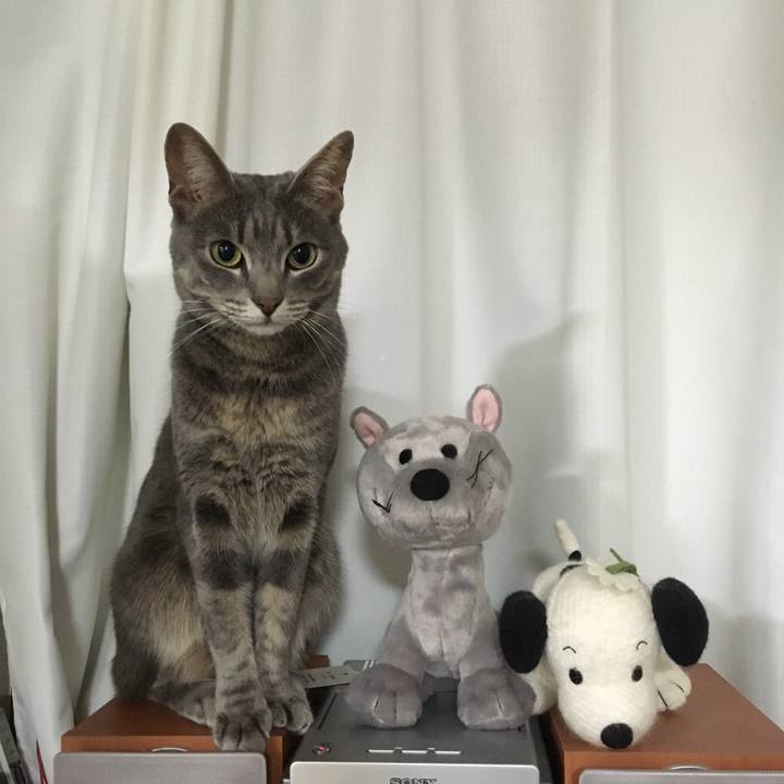 31dd2eb5 ca55 4f58 803c 4c40eb346f20 1526659179296