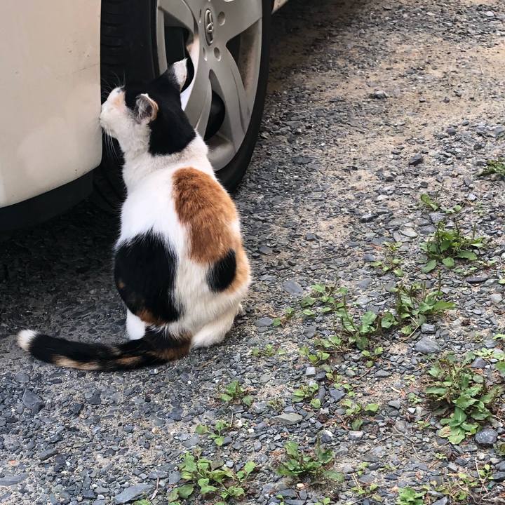 31dd4416 9f38 432c b635 aac606cb105f 1602022496140