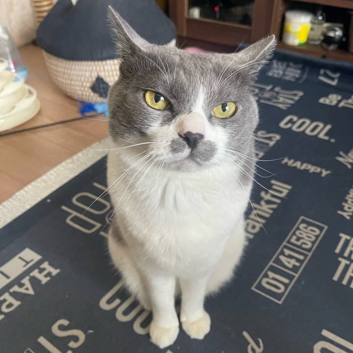 31dd6cc5 66fe 4de1 b649 fa111baa1b64 1722669694947