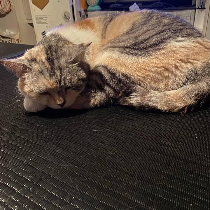 31dd77b9 3f51 4325 ba04 2a0d03303b36 1590461249359