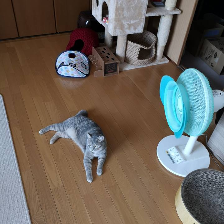 31dd8bee 8f4f 4aa5 bf56 a53ff08aef3b 1565999392340