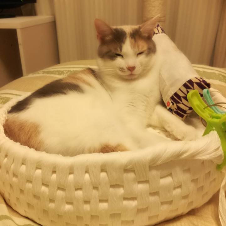 31dd8d1e f2c6 4d7d b2e6 3c29f4e1a775 1524610476398