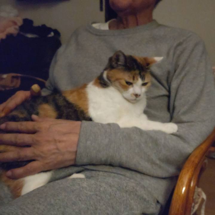 31ddb735 bffd 467c 8468 56564aa04a50 1641474414457