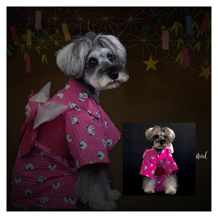 31dde510 5c2f 4869 ba8e 1f4e022b336b 1720359930532