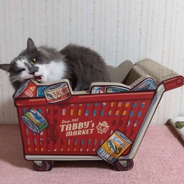 31de2c4c 860c 4468 a2f7 c628f5c4a564 1643283860181