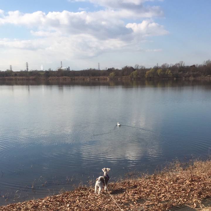 31de3315 0309 4567 a68c c41734ec4cf7 1513577549611