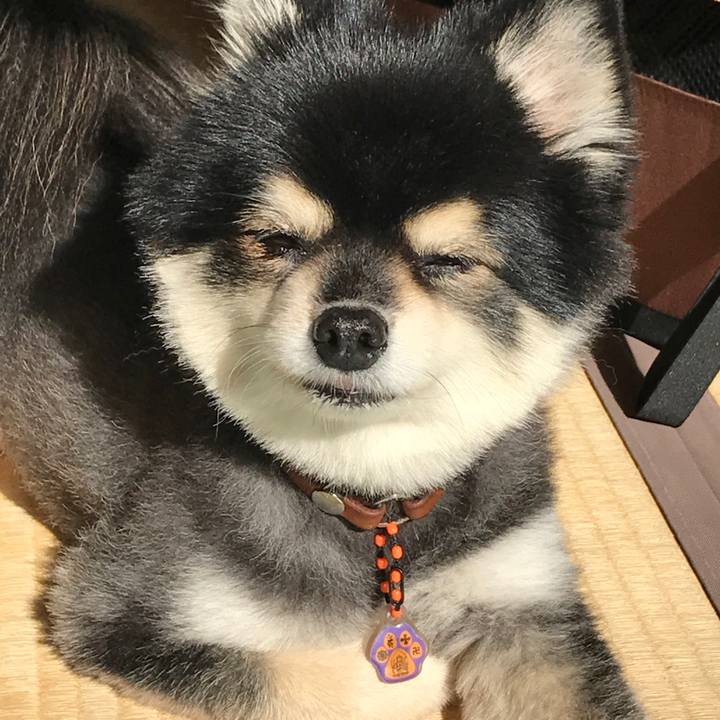 31de658d 8cb4 4724 a8ed 29854153574d 1544205812431