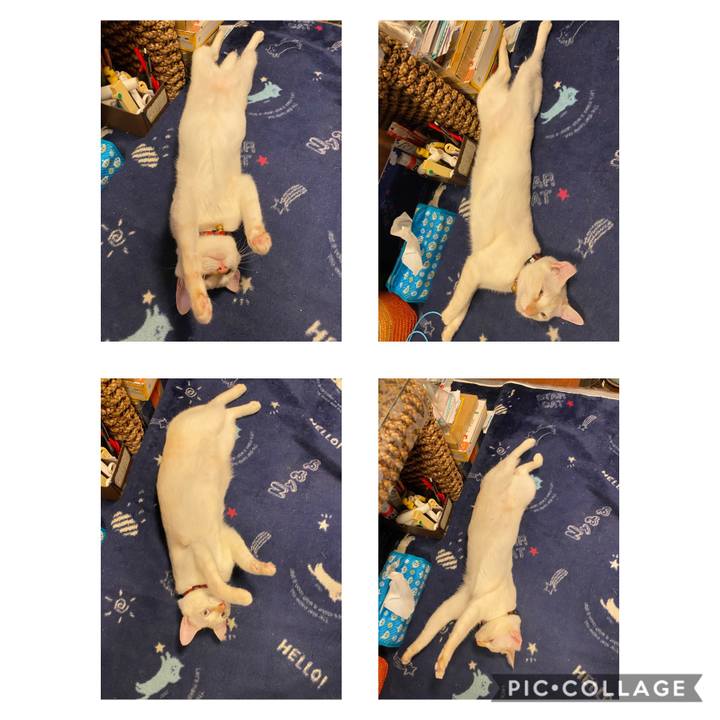 31de6b02 058f 4148 b24d 9162ef7dae6c 1601049206086