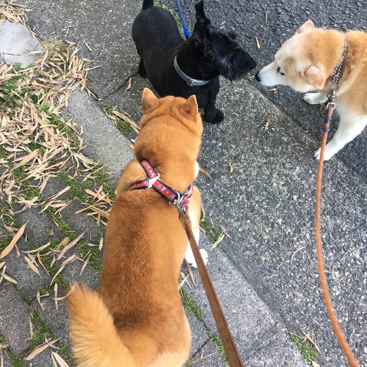 31deb7ee 8118 4704 9282 5b92c037613c 1527985121779