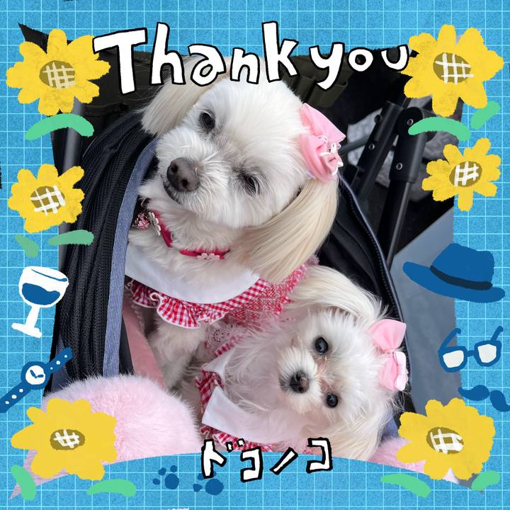 31dedb9f 24be 43b7 96b7 d4230fd73ffa 1717643194123