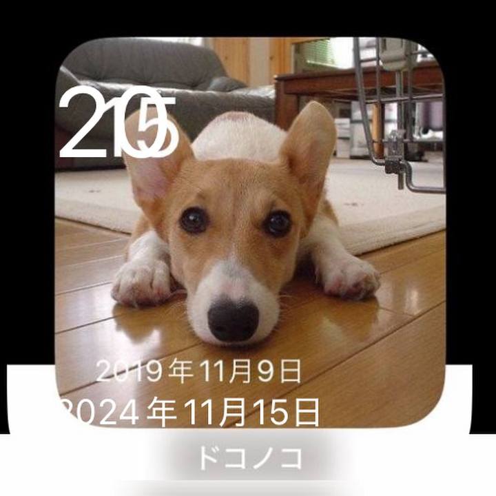 31def8d0 546b 49c5 9609 fd87effd9e0e 1763621835729