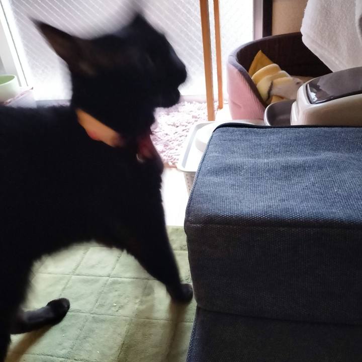 31df0301 c45d 425c 8874 28883d576732 1673821865198