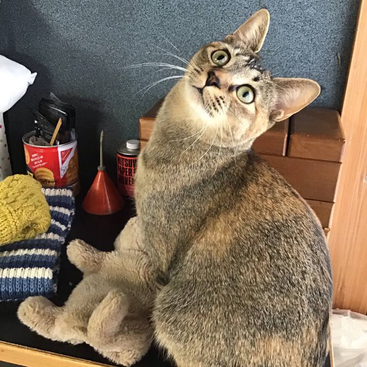 31df47d4 55f7 4d1e 9dcf 9df4c92b86c4 1578800841797