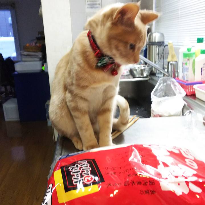 31df4e2f 0491 40a5 9db3 adfb34104bb7 1546297682420