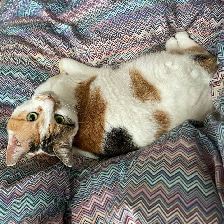 31df586b 716c 4a8a b29b ac3a60da1118 1647473385164