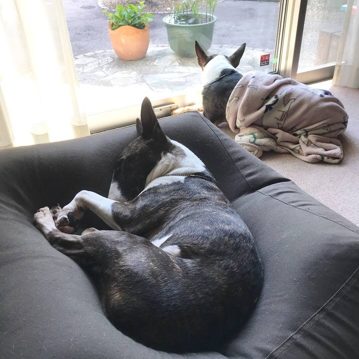 31df6c7e 18ca 4b4d a329 f1075c057620 1524115804166