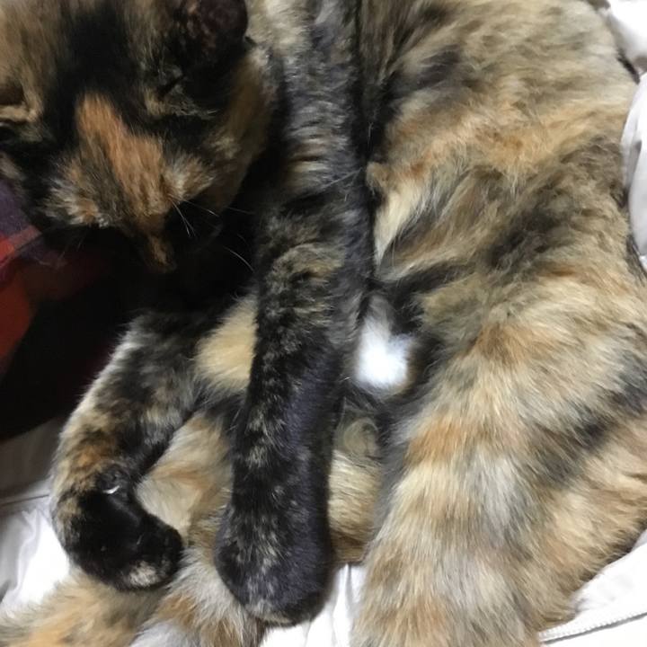 31df78f2 9410 4ed0 9f54 4cc74b080a4b 1512492349304