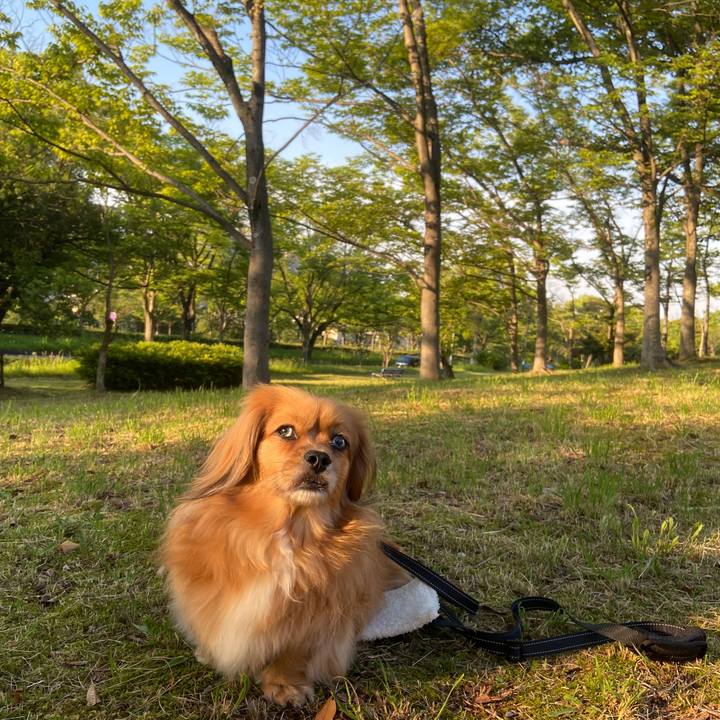 31df9117 42ea 4909 b77f eacb2065ea68 1623188023089