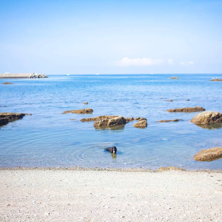 31df922f 4819 4745 9601 3f391d6abcab 1597679155520