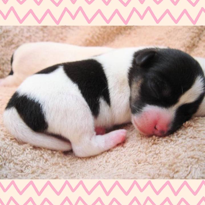 31df93f0 69ba 45b6 8c8e 709eaaa5f6bd 1528412607250