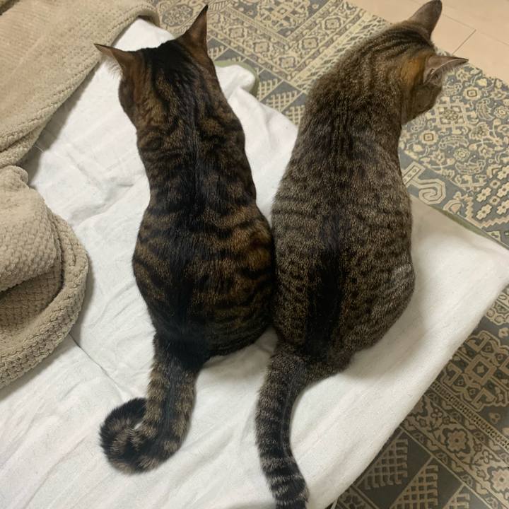 31dfd343 f9a3 40e1 a61c 9a2a57efed6e 1639397949031