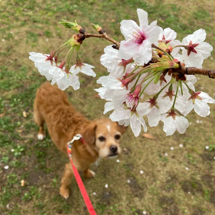 31dfe0e8 c75a 474b a9e4 457a55bb755d 1616662436265