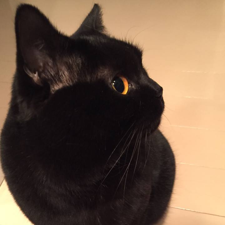 31e018c0 cf85 4529 9b42 4a39ad131196 1516195783893