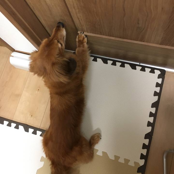 31e01914 8934 407d 8242 5f8cfa361a05 1622378353662