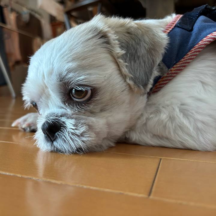 31e0331b 96f7 4088 b062 3294699a6420 1758490877343