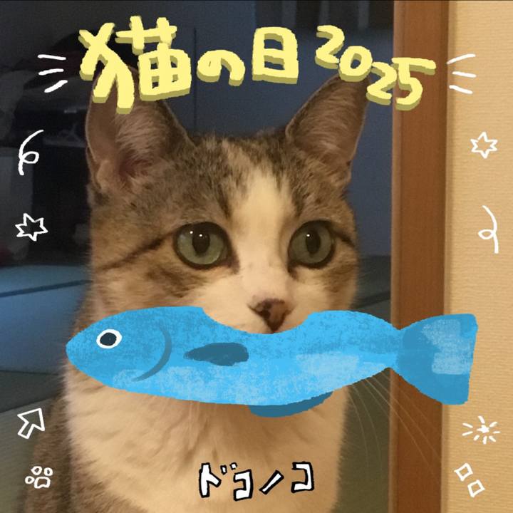 31e034d8 969b 484d aed5 3a68095427dd 1770094802315