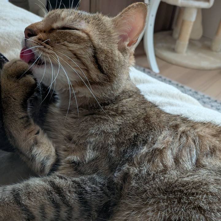 31e049d0 6c82 41f2 baf2 aa8179b27d32 1762983115009